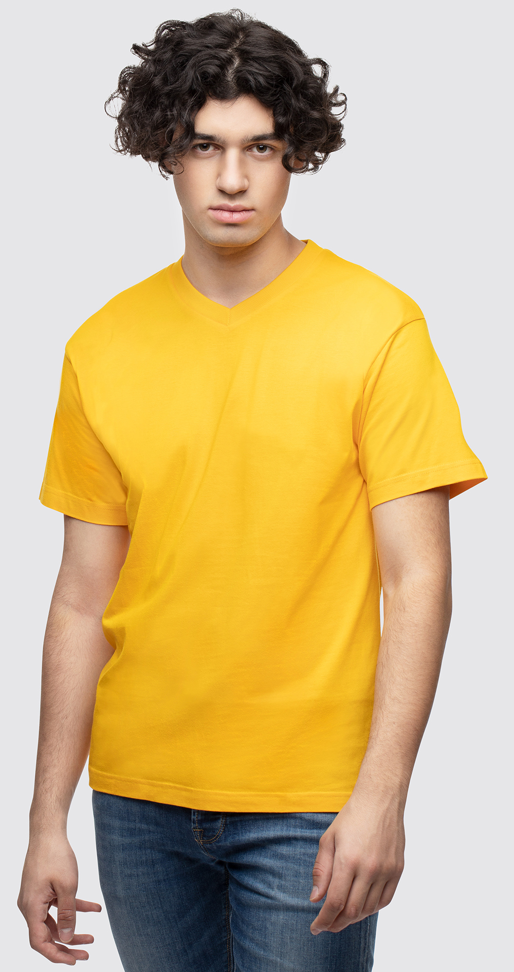 Viktor 2003 Switcher