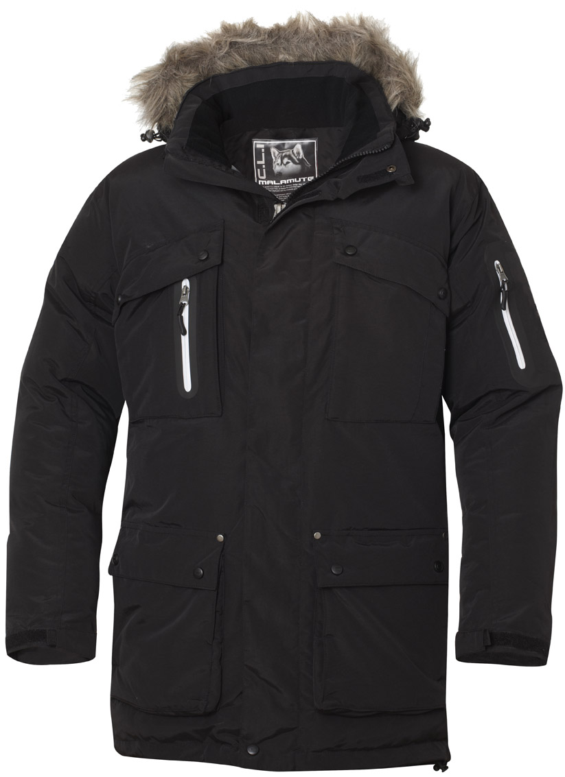 Clique Malamute 020997